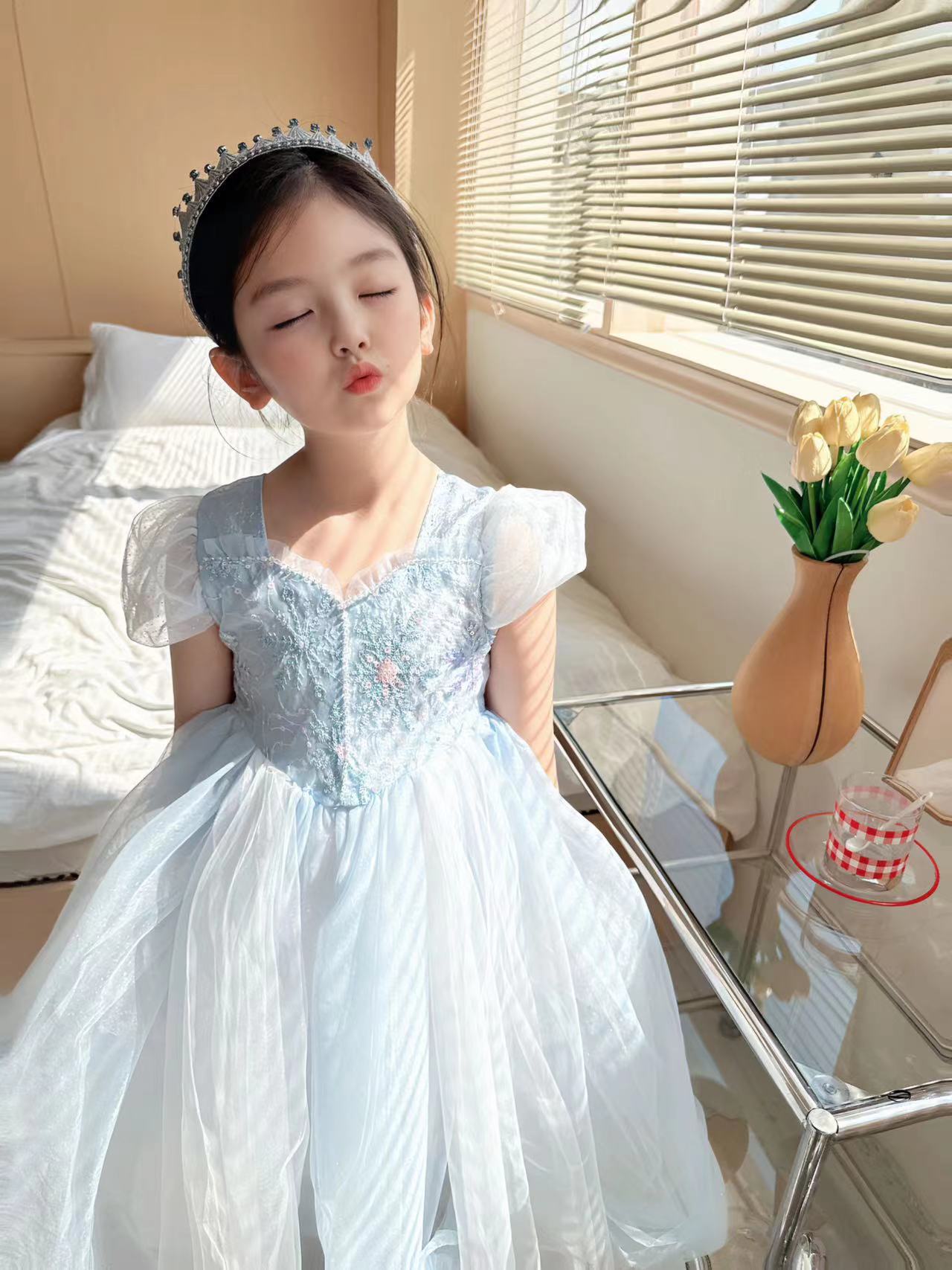 Geborduurde Elsa Meisjes Jurk  - Baby Clothing Dresser recensie en prijs