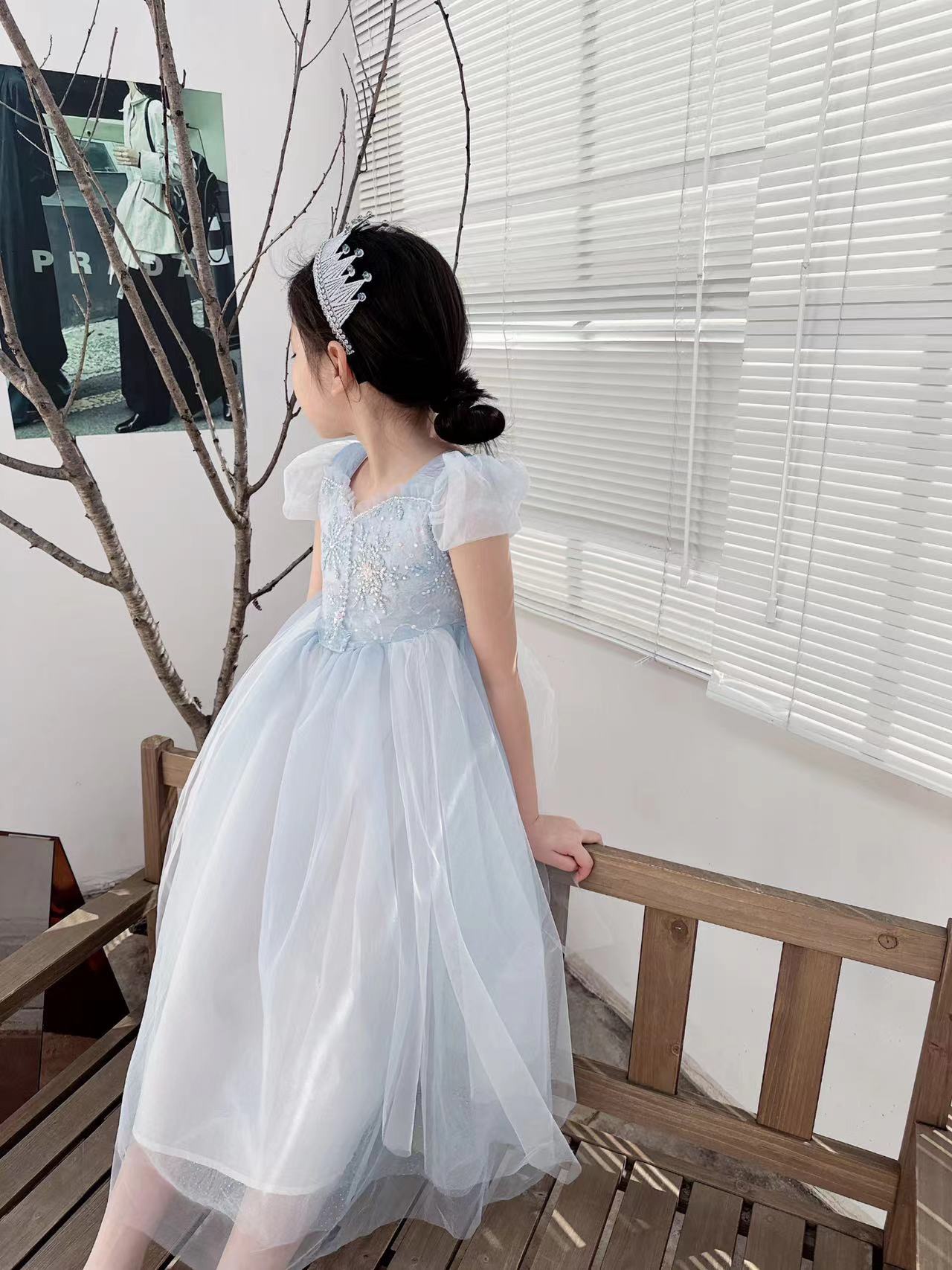 Geborduurde Elsa Meisjes Jurk  - Baby Clothing Dresser recensie en prijs